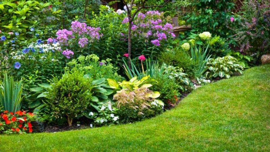 Flores