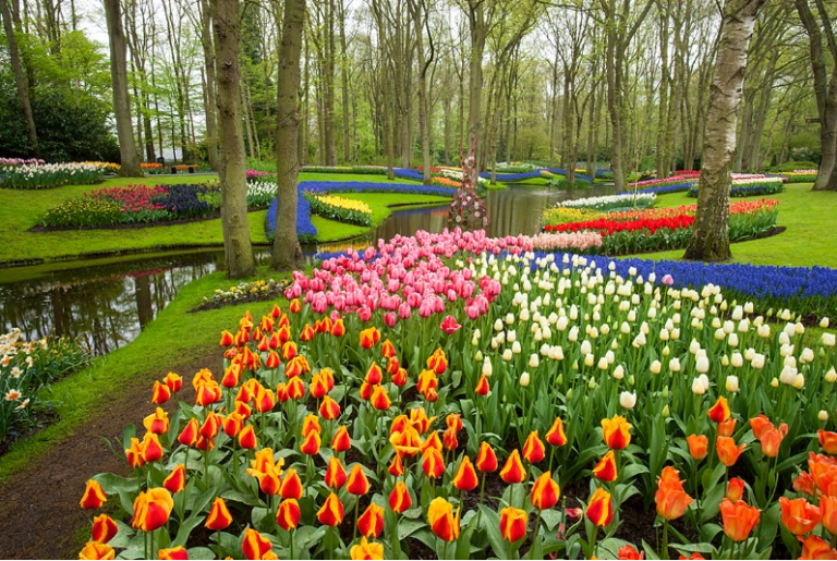 Un jardín lleno de vida para tu parque - Parques Alegres I.A.P.