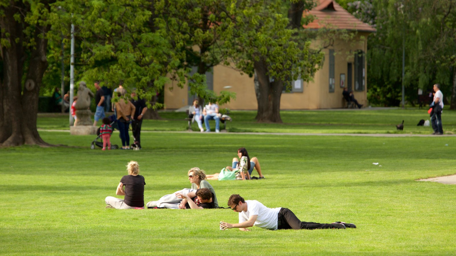 La calidad de vida y los parques Parques Alegres I.A.P.