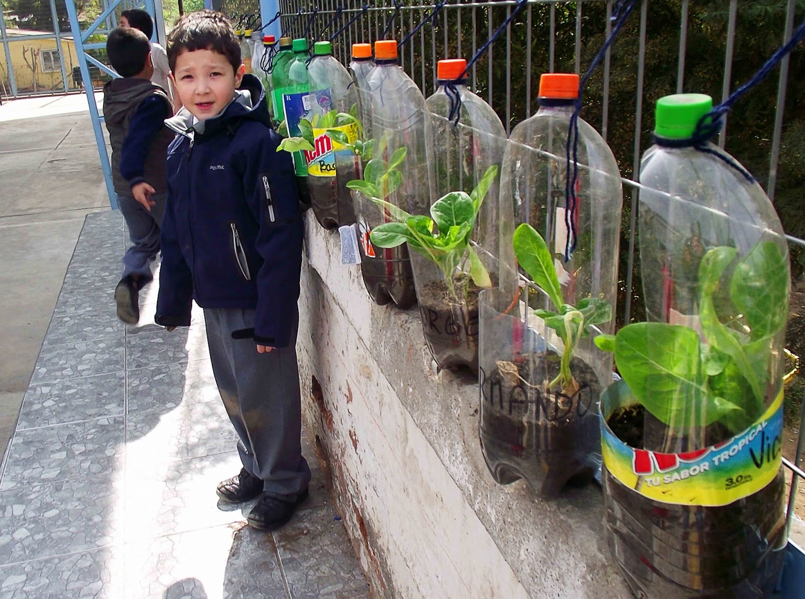 Qué son los huertos escolares Parques Alegres I A P