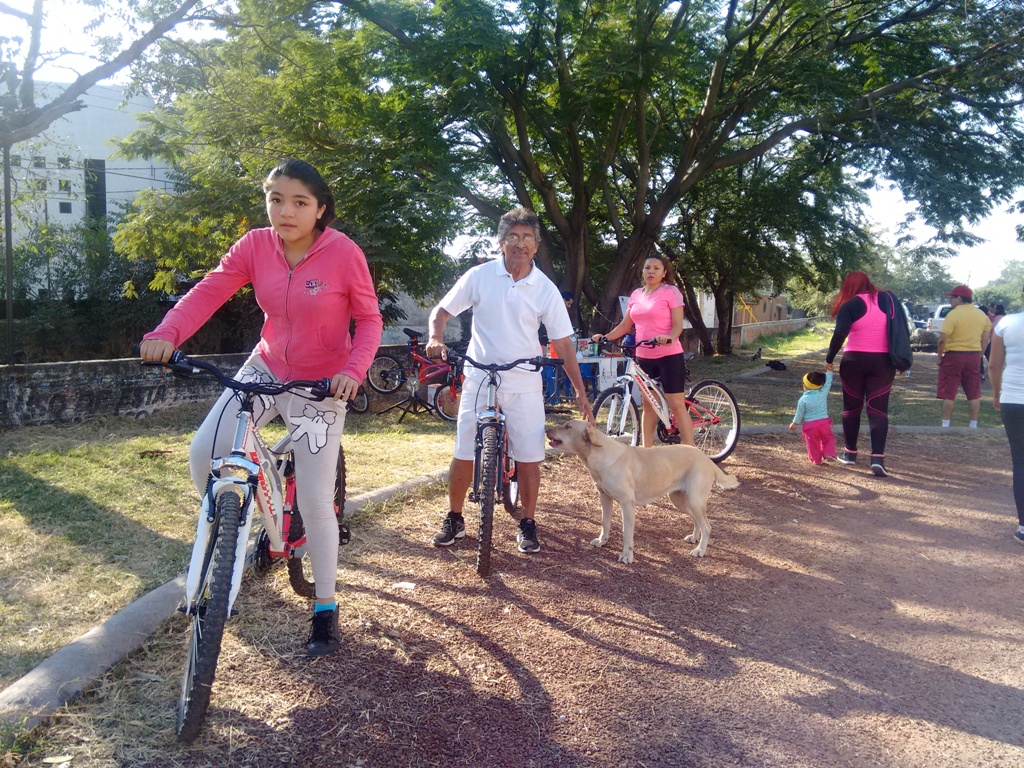 ¿Qué Es La Convivencia Social? - Parques Alegres I.A.P.