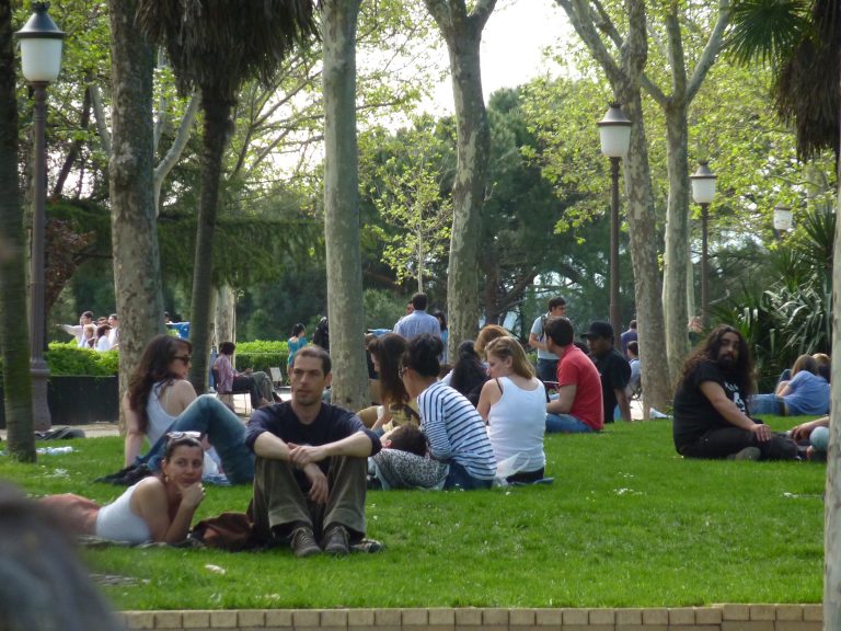 Conoce M S Sobre El Tejido Social Parques Alegres I A P