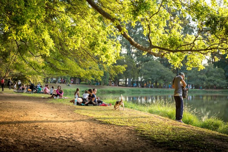 Conoce El Parque Ibirapuera En Brasil Parques Alegres I A P