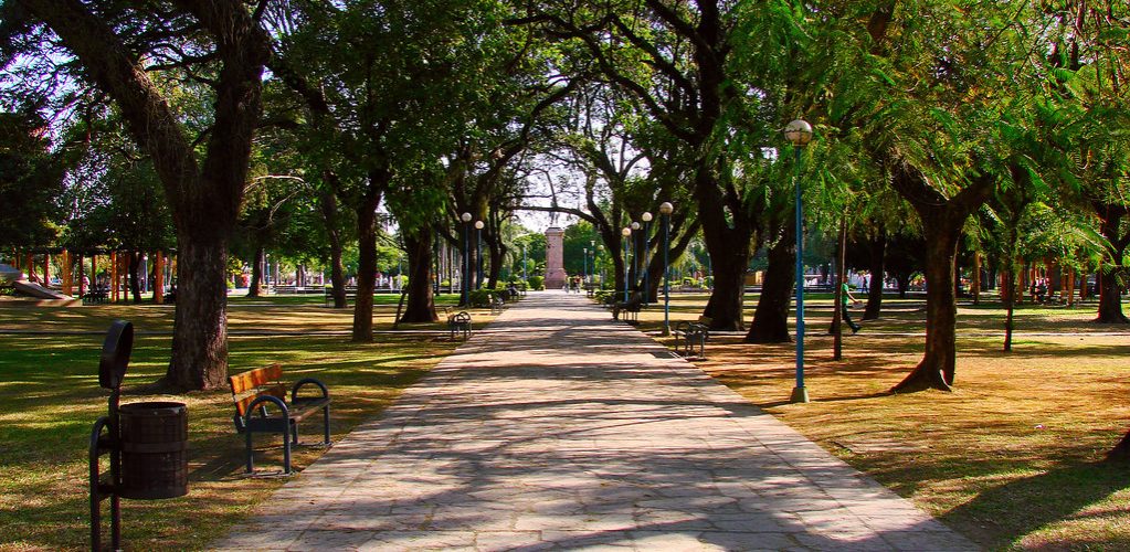 Forma un comité ciudadano para tu parque Parques Alegres I A P