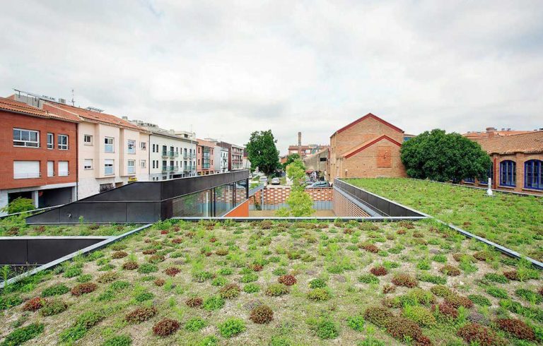 Diseño de azoteas verdes Parques Alegres I A P