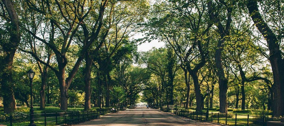 Importancia de las áreas verdes Parques Alegres I A P