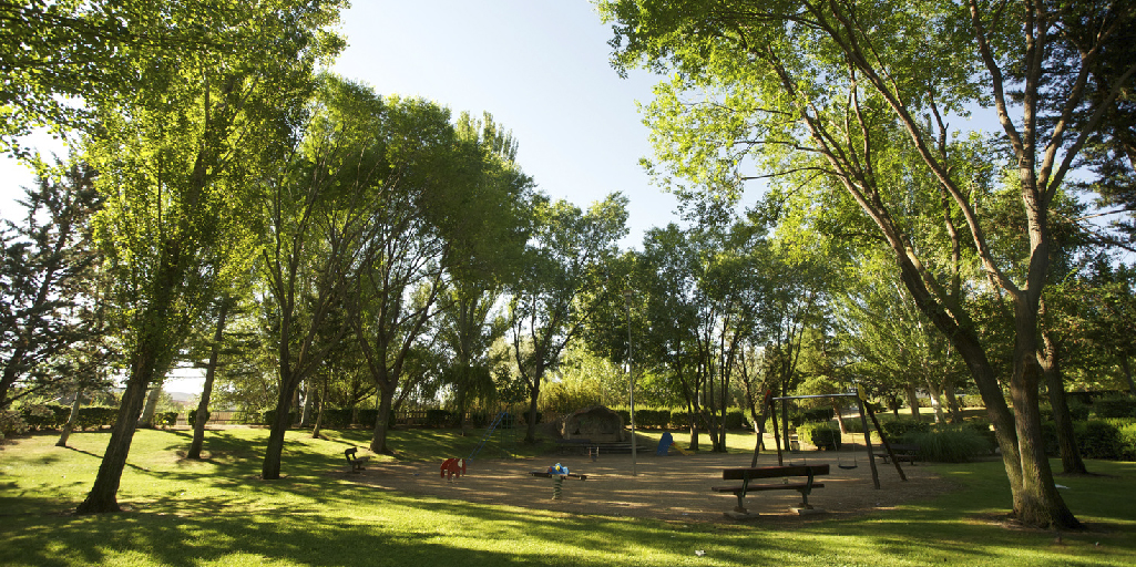 Las áreas verdes generan felicidad Parques Alegres I A P