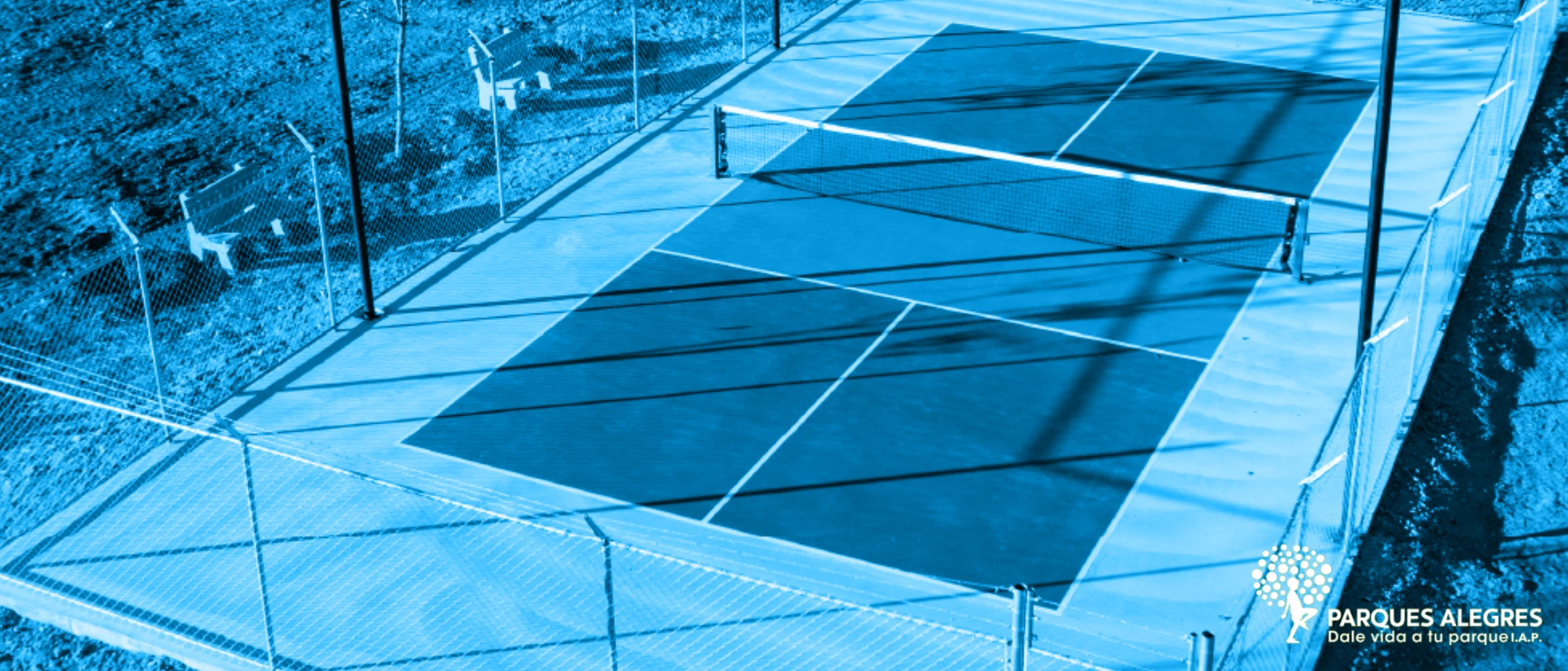 assets/cancha-de-pickleball-parque-portada_.webp