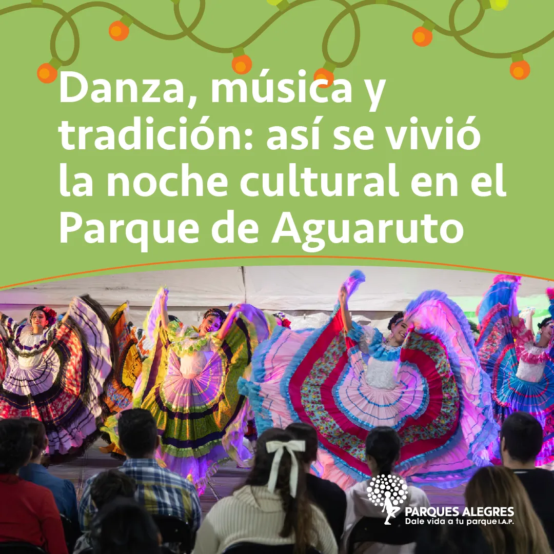 danza folcl&oacute;r