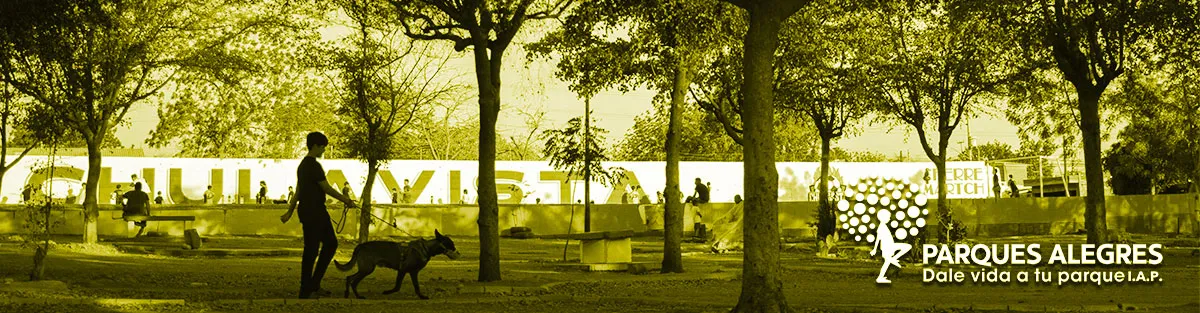 gases efecto invernadero