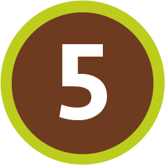 Icono 5