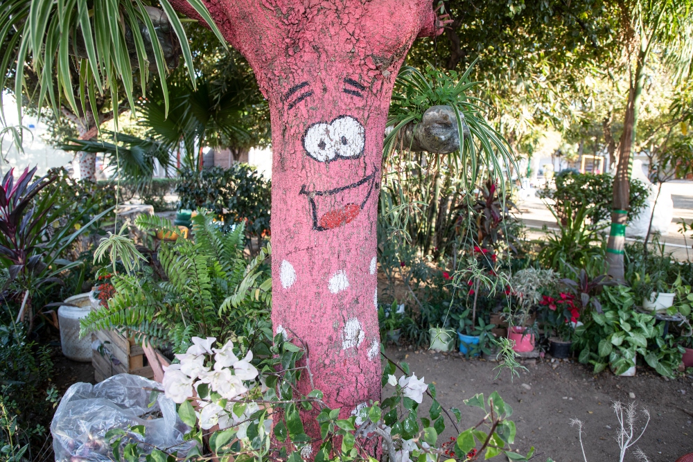 Jardín en parque público 