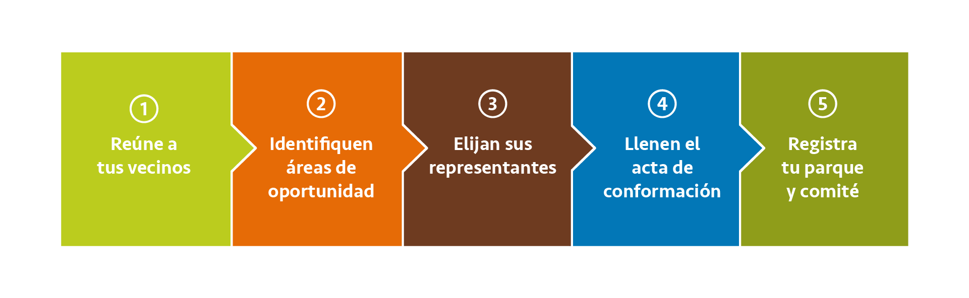 Pasos para formar comité
