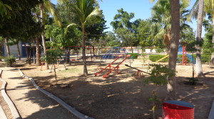 DSC01235