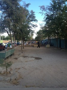 BachigualatoPanteon1