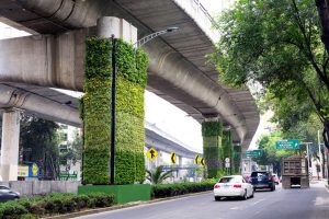 ciudades más verdes