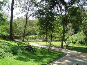 parques ecológicos
