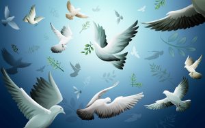 paloma de la paz