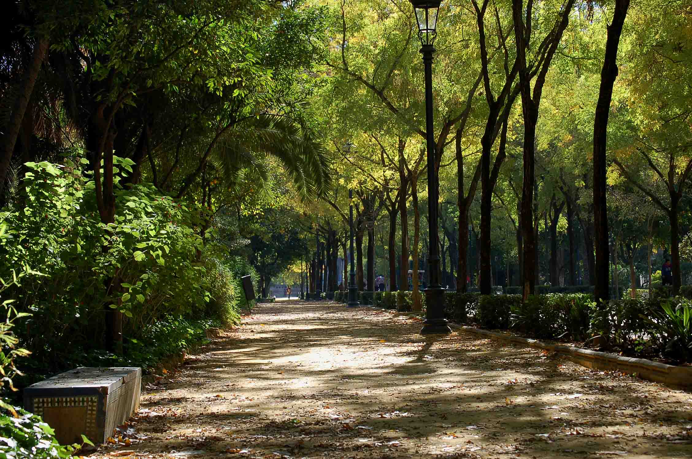 Parques urbanos apoyando al medio ambiente - Parques Alegres I.A.P.