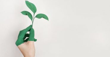 Campañas del Medio Ambiente