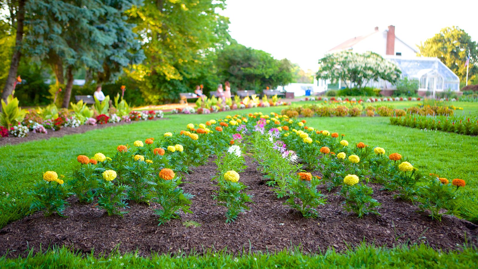 Plantar flores en tu parque: excelente actividad - Parques Alegres I.A.P.