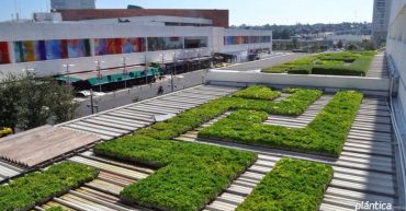 para qué sirven las azoteas verdes