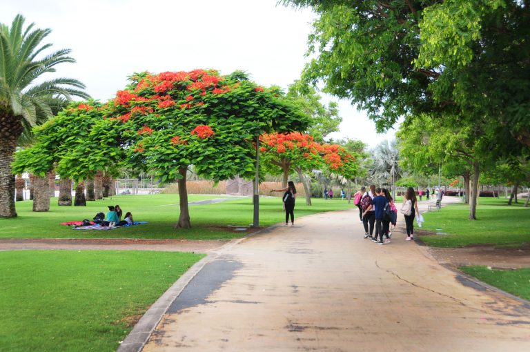 Qué es un parque urbano? - Parques Alegres I.A.P.