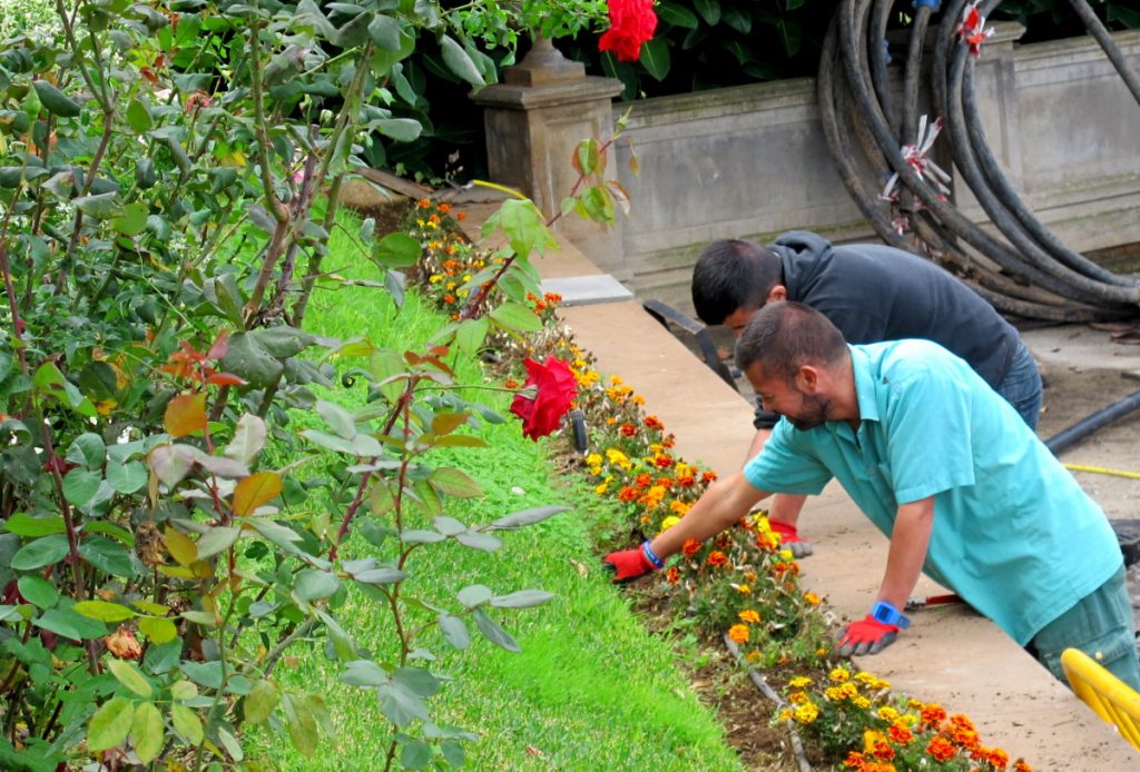 Importancia de los jardineros en tu parque - Parques Alegres I.A.P.