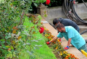 importancia de los jardineros