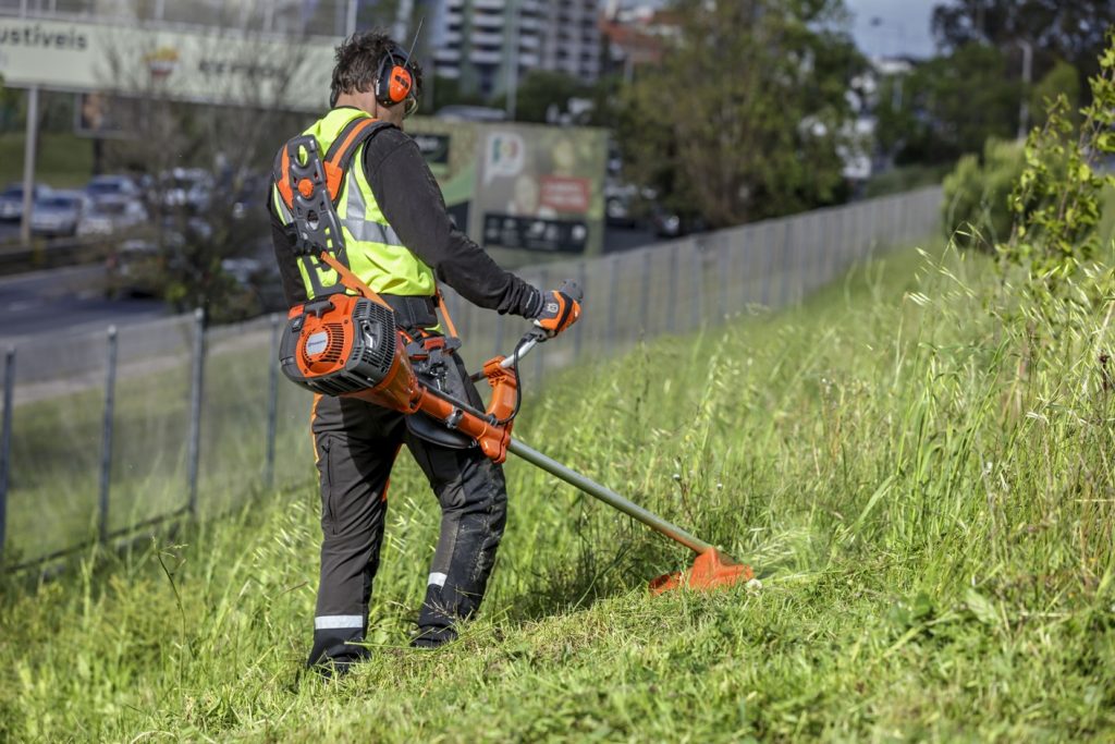 Importancia de los jardineros en tu parque - Parques Alegres I.A.P.