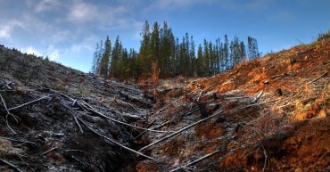 Cómo apoyar contra el cambio climático