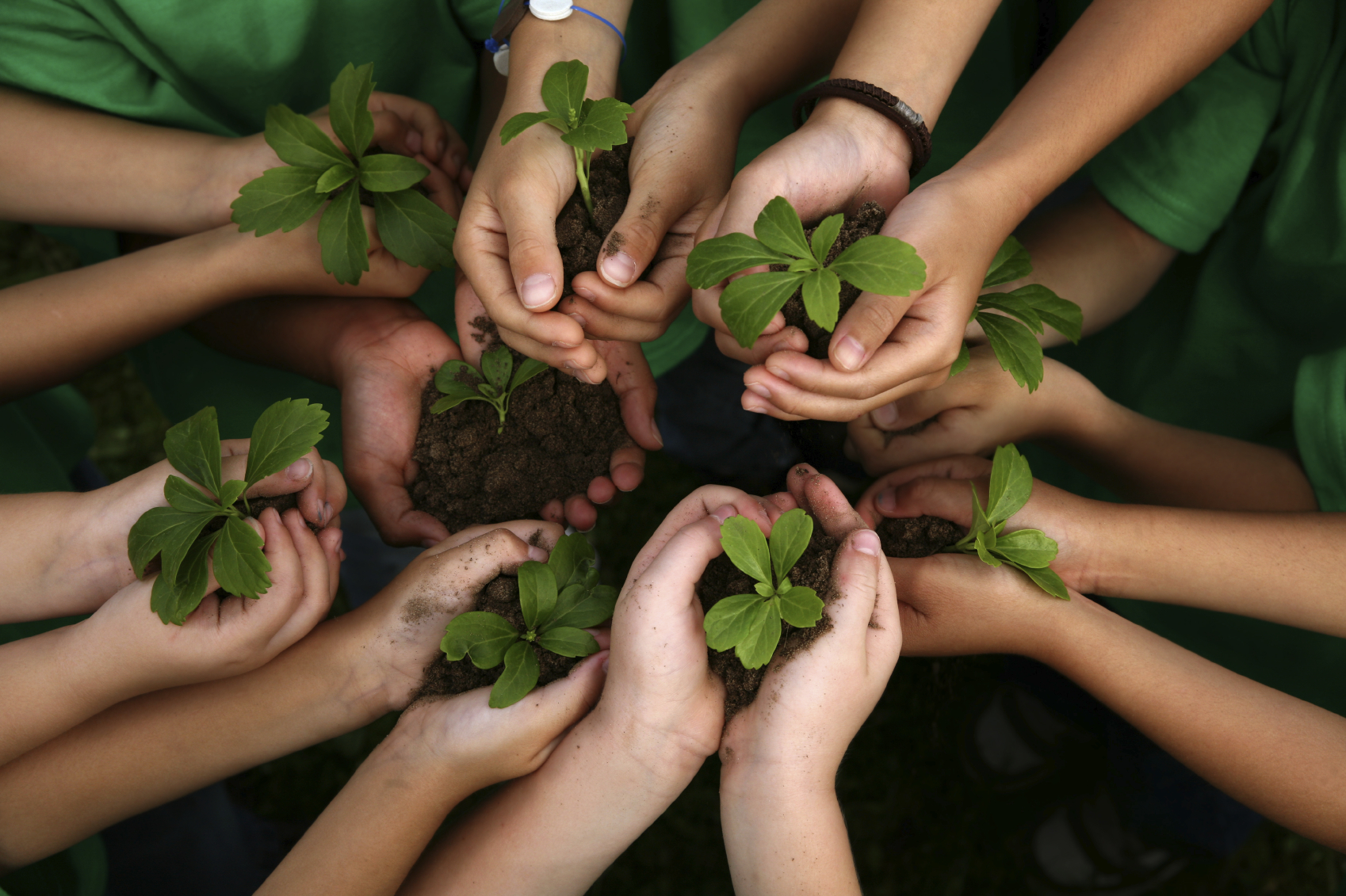 Importancia De La Educación Ambiental - Parques Alegres I.A.P.