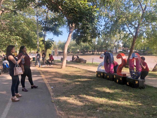 Paz en Culiacán Concurso 2020