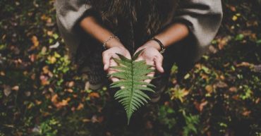 tipos de medio ambiente y sus caracteristicas