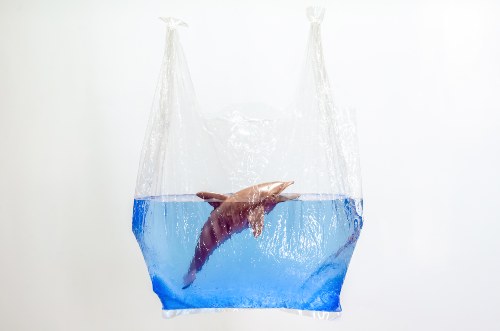 dia internacional libre de bolsas de plastico