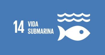 ods vida submarina