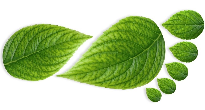 huella ecológica