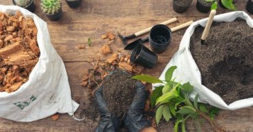abono organico para plantas