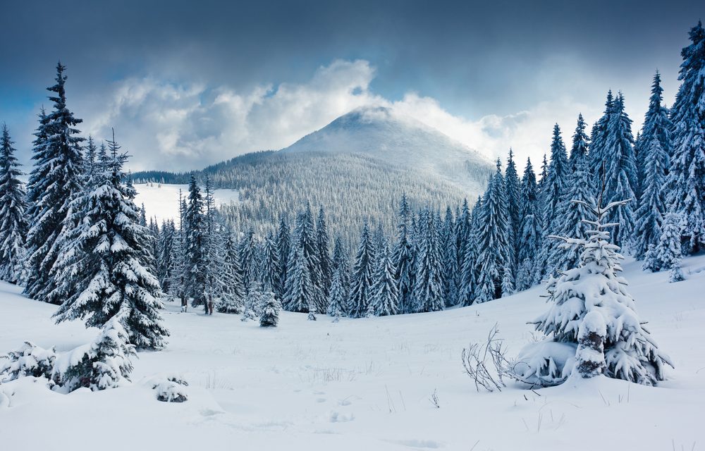 Día Mundial de la Nieve, conoce más Parques Alegres I.A.P.